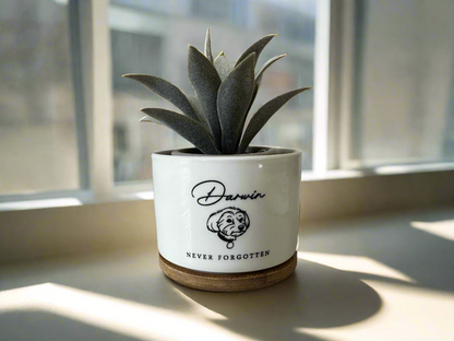 Pet Memorial Succulent Pot