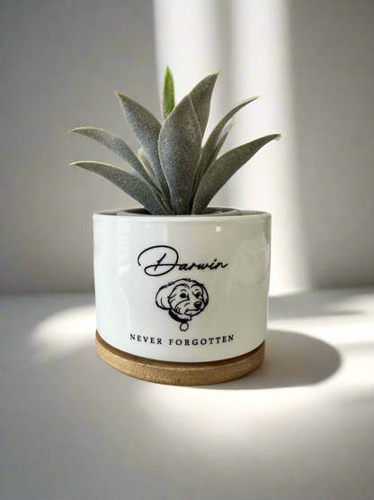 Pet Memorial Succulent Pot